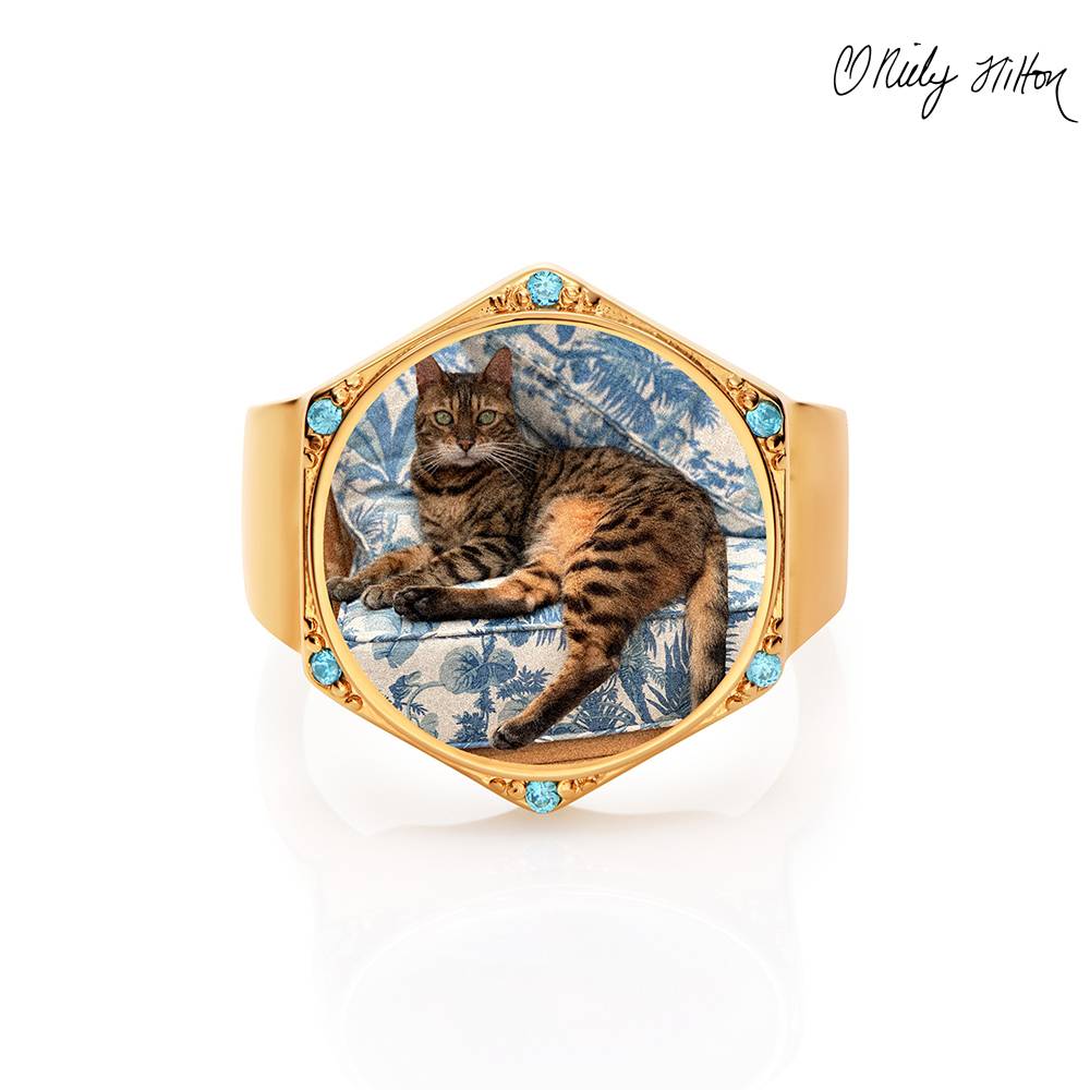 Coco Hexagon Ring in Gold Finish-1 Coco Hexagon Ring in Gold Finish-1 product photo