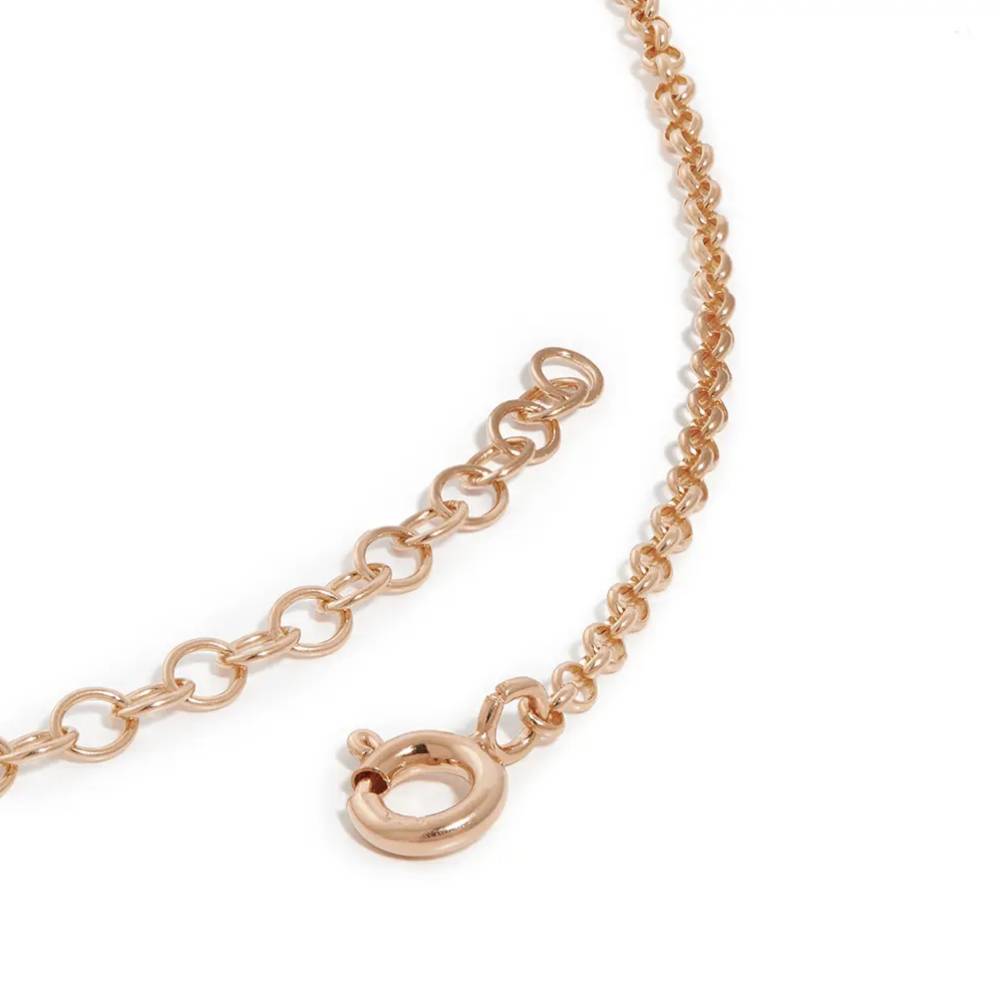 Last Minute Pack "Heritage Multiple Name Necklace in Rose Gold Plating with 0.30CT Diamonds"-3 product photo
