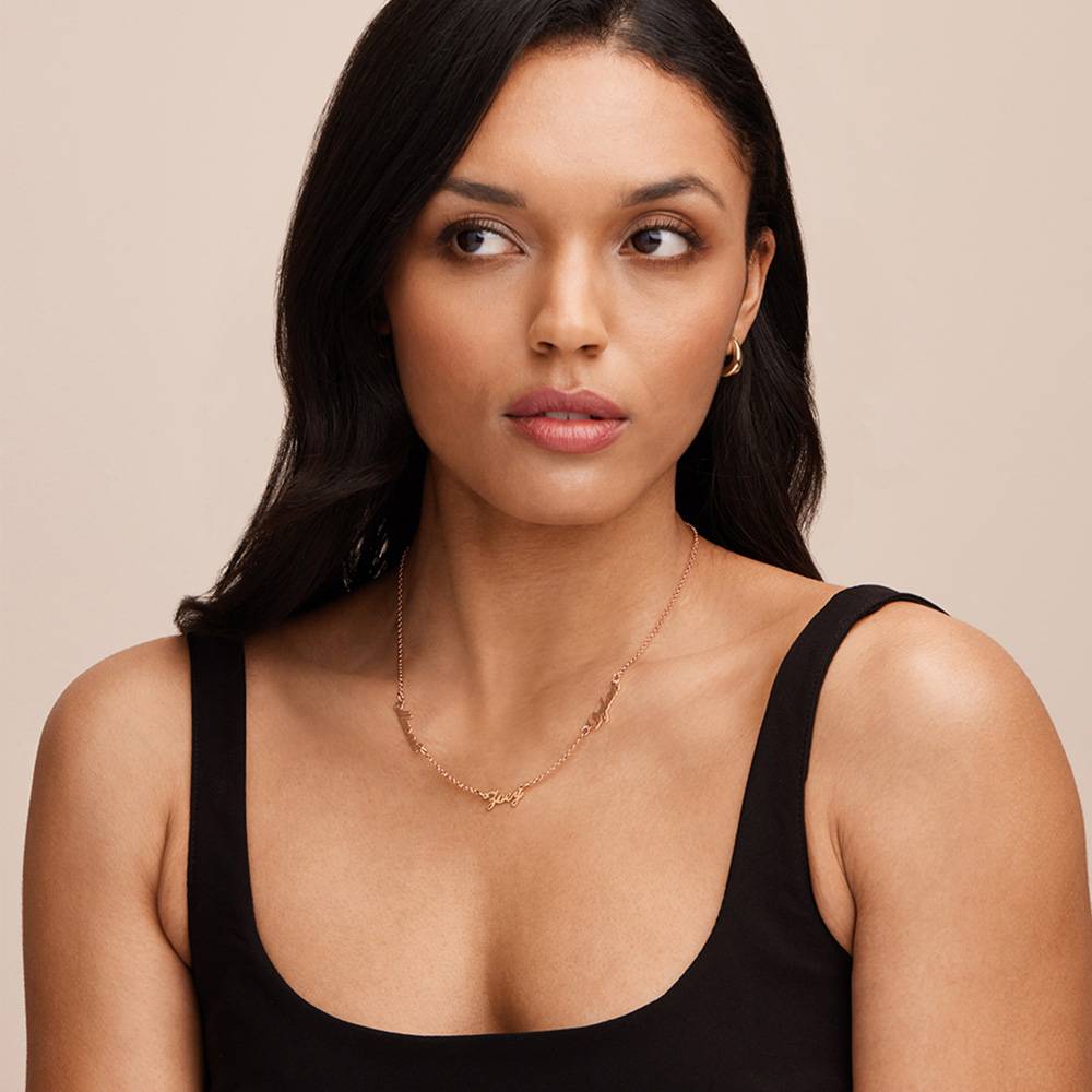 Last Minute Pack "Heritage Multiple Name Necklace in Rose Gold Vermeil"-5 product photo
