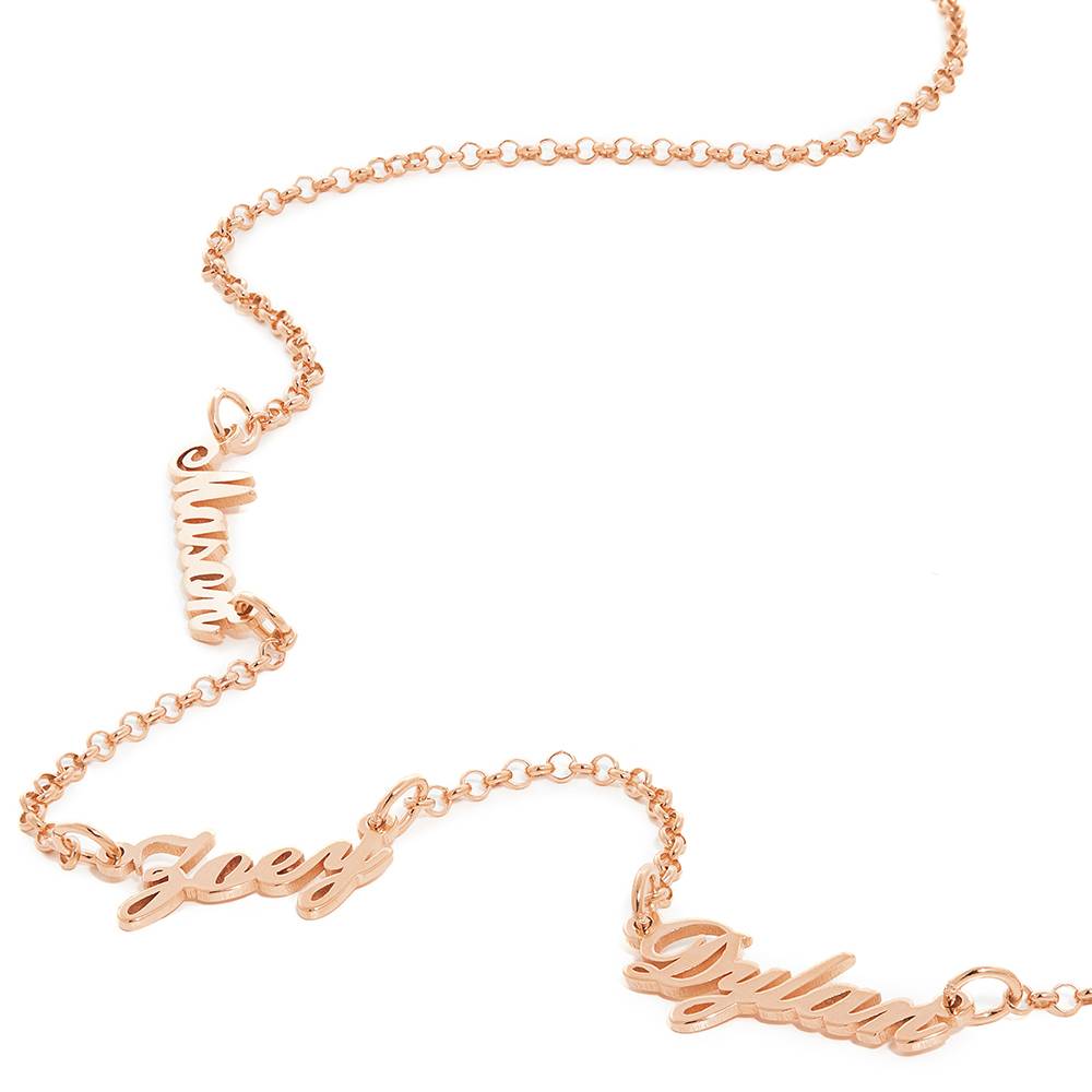 Last Minute Pack "Heritage Multiple Name Necklace in Rose Gold Vermeil"-3 product photo