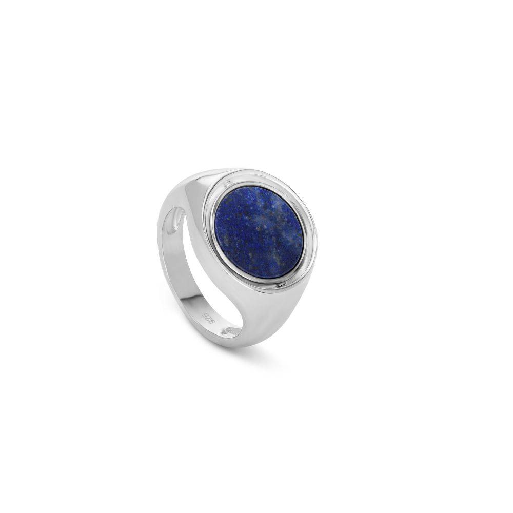 New Moon Spinner Signet Ring in Silver-5 product photo