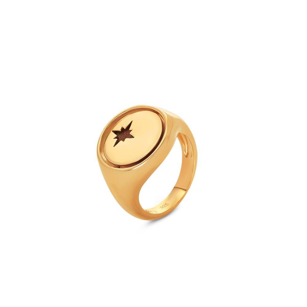Wishing Star Spinner Signet Ring in Vermeil-4 product photo